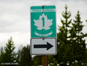 Trans Canada 1